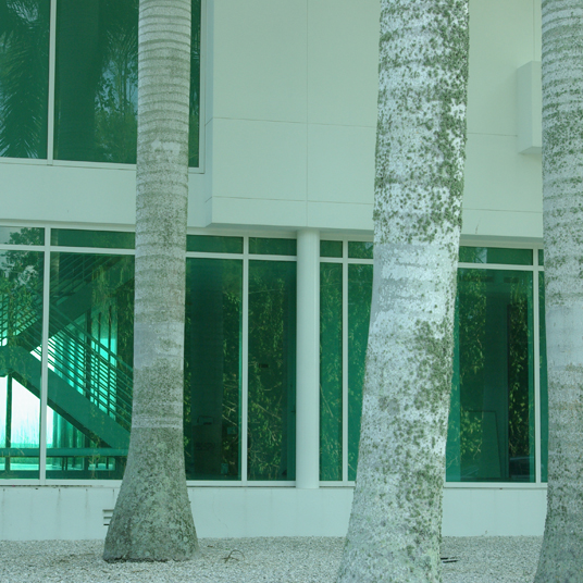 Decorative Architectural Colored Film for Glass (Green)