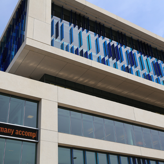 Decorative Architectural Colored Film for Glass