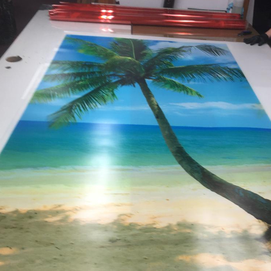 Digital Prints on Film for Glass