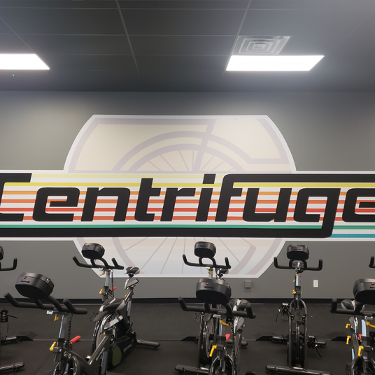 Digital Prints on Vinyl