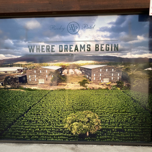 Digital Prints on Film for Glass