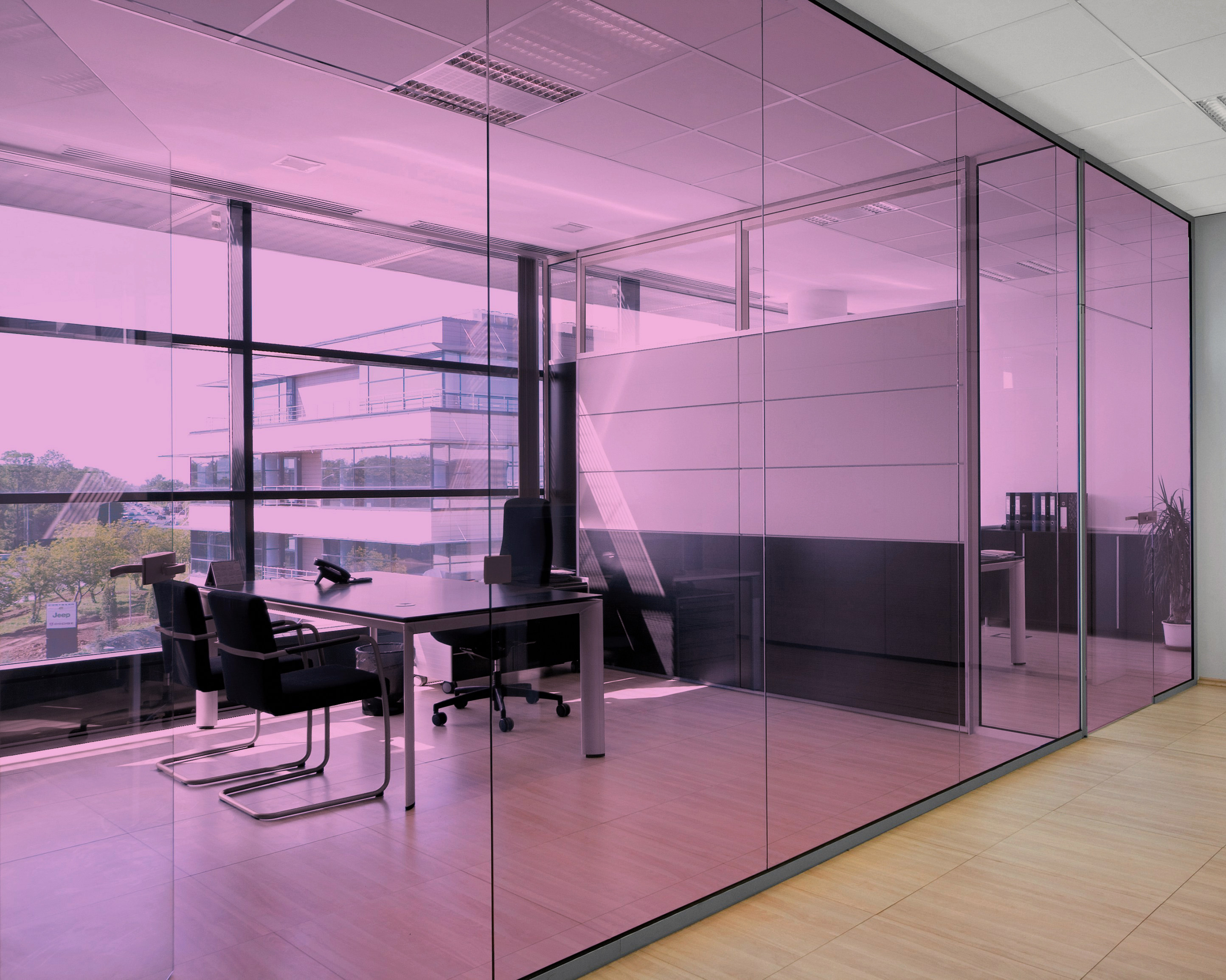 Orchid on Office Glass (See Through Appearance)