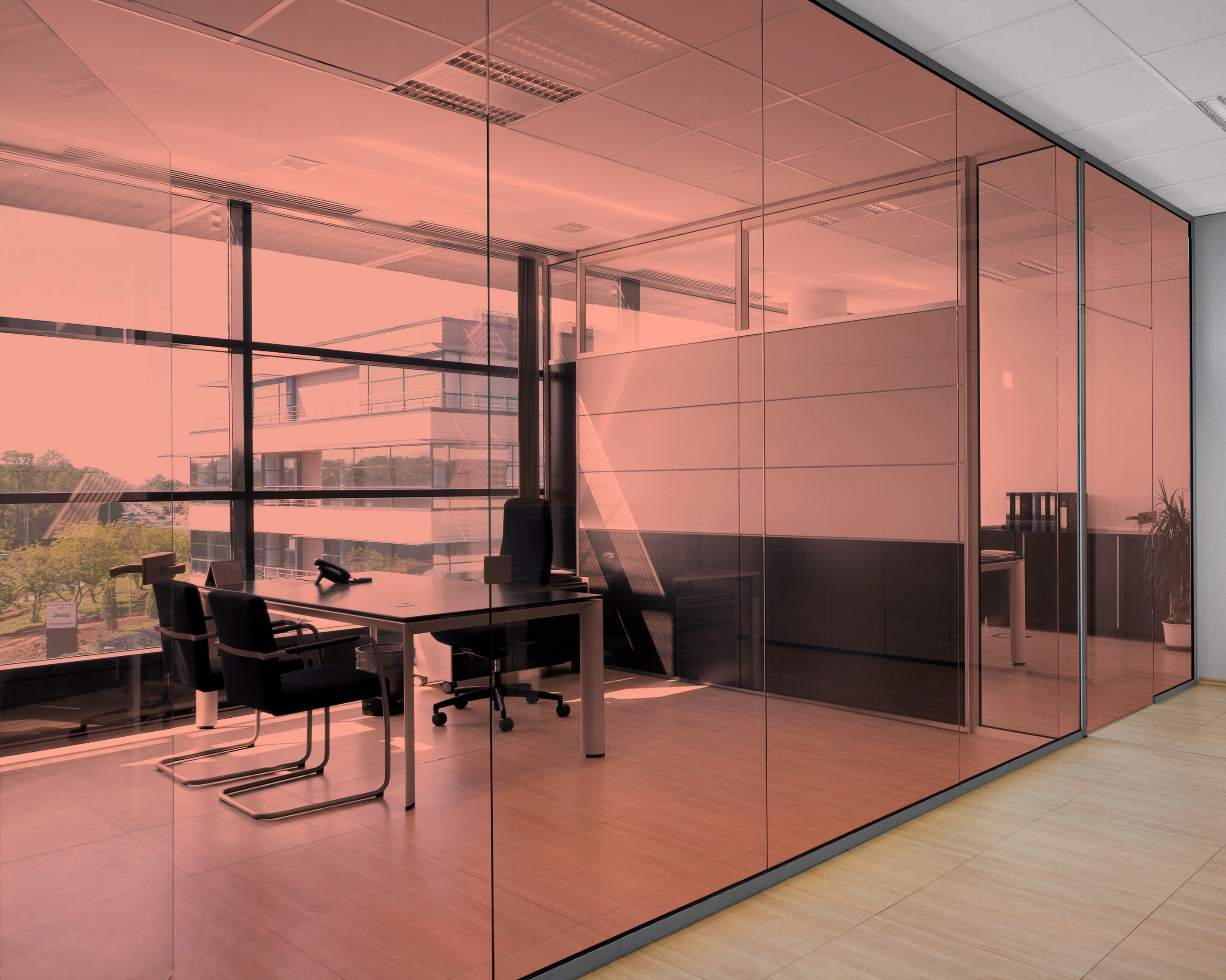 Salmon on Office Glass (See Through Appearance)